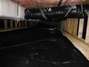 blaine_crawlspace_cleanup4