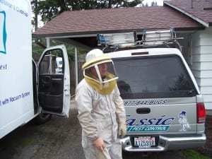 Wasp Removal in Marysville 1