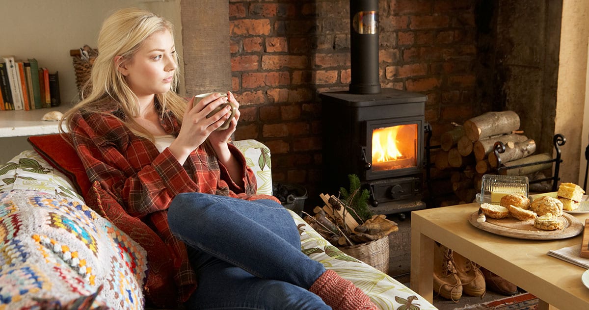 Arlington Insulation Classic Pest Control and Insulation