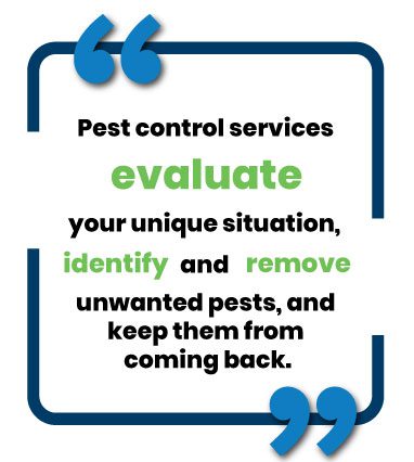 image of text saying ``Pest Control services evaluate your unique situation, identify and remove unwanted pests, and keep them from coming back.``