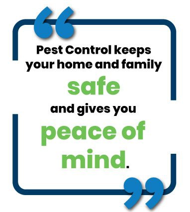 Image of text saying ``Pest Control keeps your home and family safe and gives you peace of mind.``