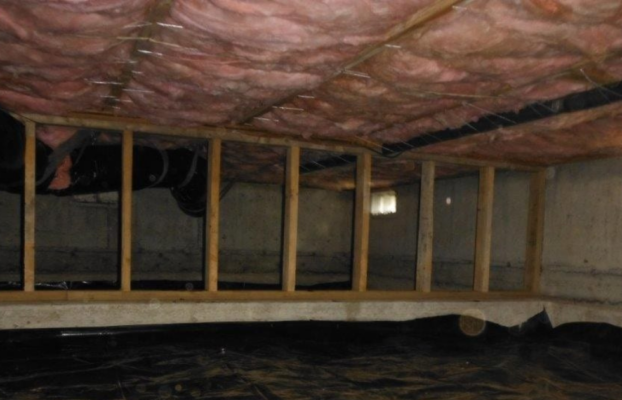 The Dangers of a Neglected Crawlspace