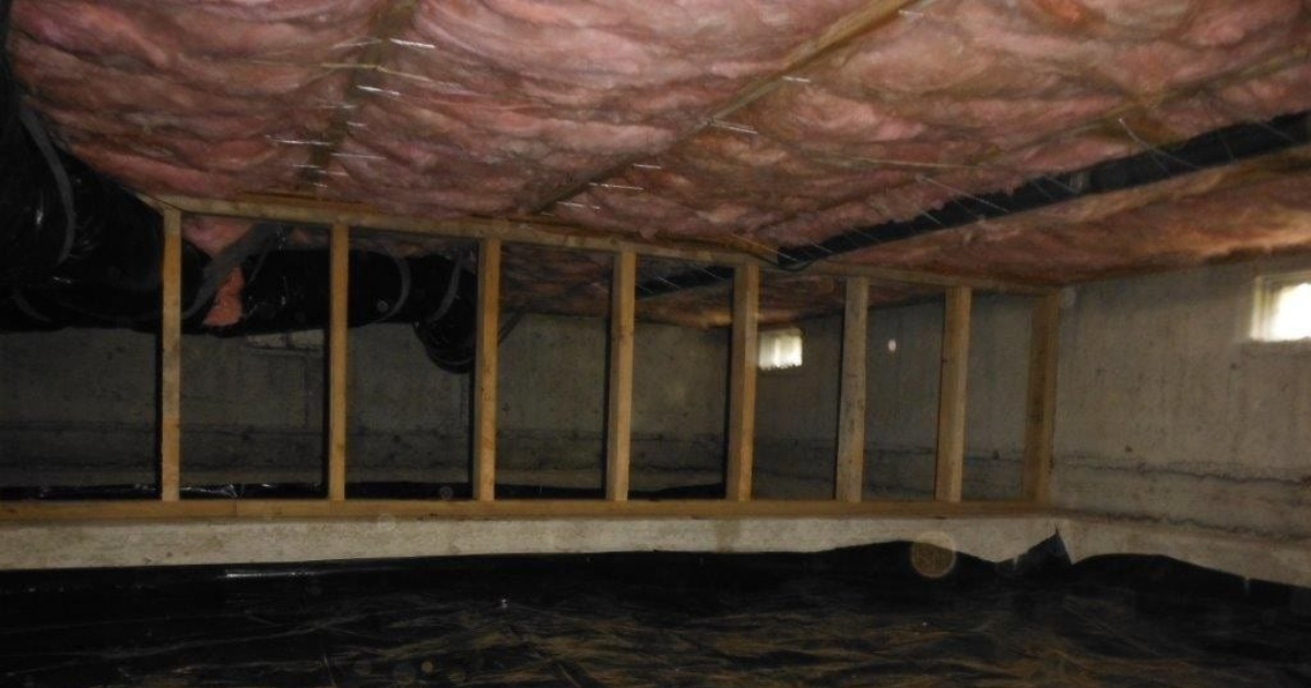 The Dangers of a Neglected Crawlspace