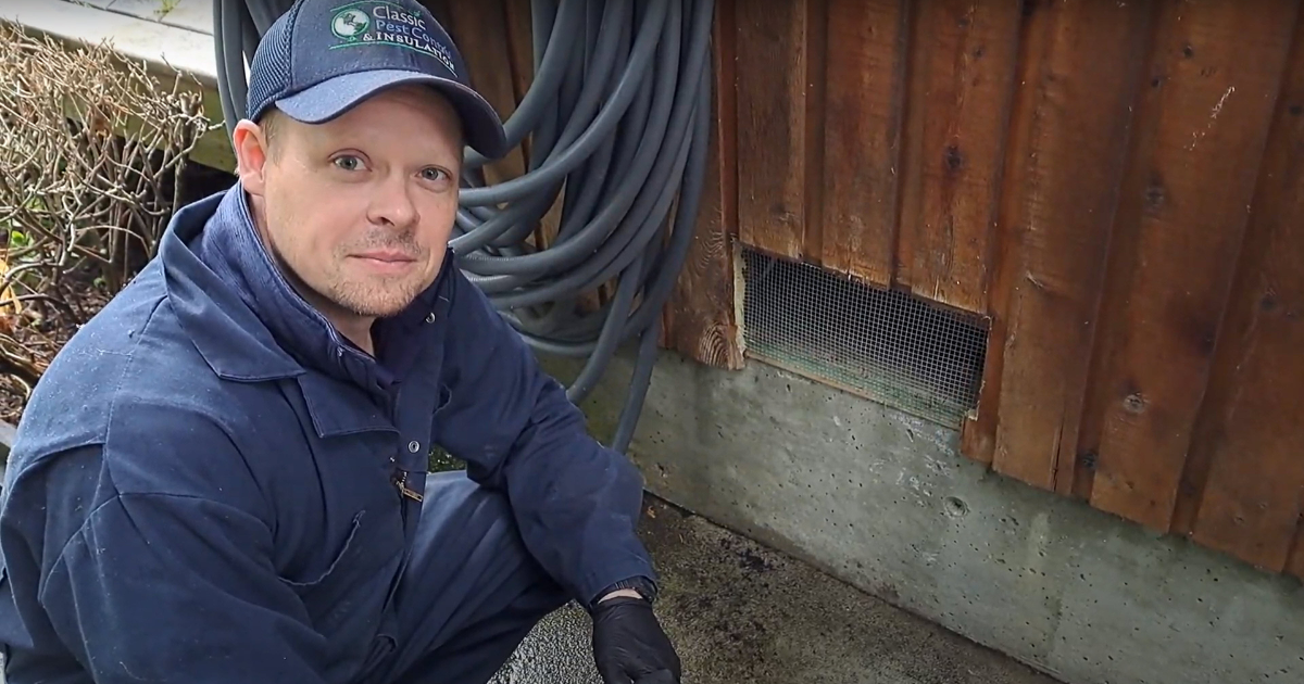 How to Prevent Rodent Re-Infestation